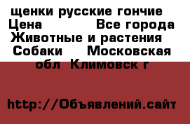 щенки русские гончие › Цена ­ 4 000 - Все города Животные и растения » Собаки   . Московская обл.,Климовск г.